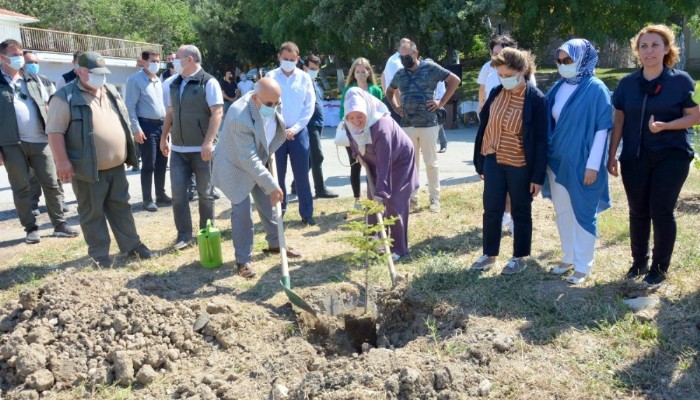 15 Temmuz Şehitleri Anısına Ağaçlandırma Etkinliği