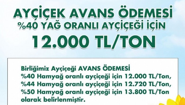 AYÇİÇEK TABAN ALIM FİYATI AÇIKLANDI!