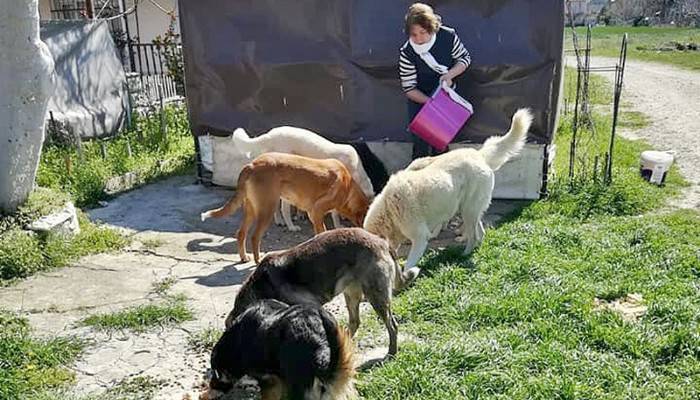 İnsanlar evlere kapandı, aç kalan sokak köpeklerini hayvanseverler besledi
