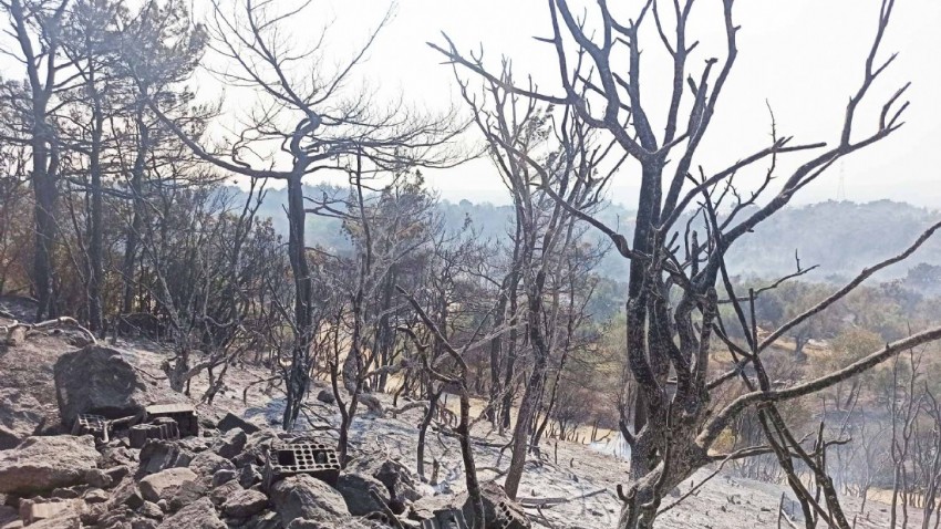Sanki Cehennemin Alevleri Çanakkale’ye İndi(VİDEO)