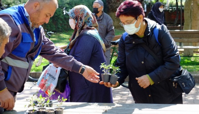 Domates Fidesi İçin Metrelerce Kuyruk Oluştu