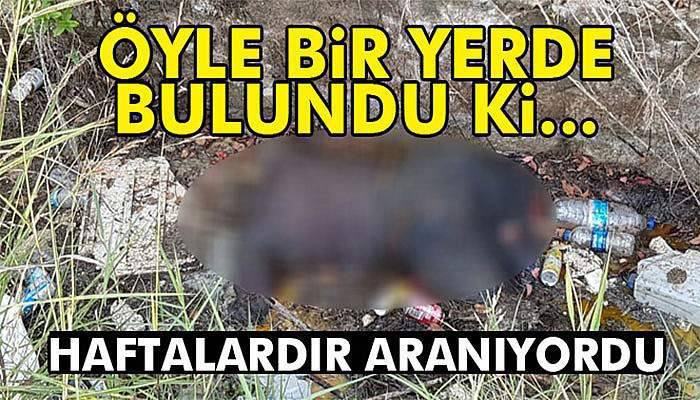 Kayıp kadının cesedi 21 gün sonra sulama kanalında bulundu