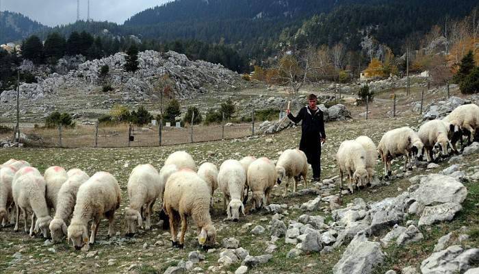 Köylünün yüzü güldüren proje