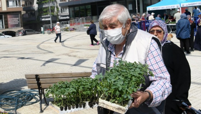 Elli Bir Bin Domates Fidesi Kısa Zamanda Tükendi