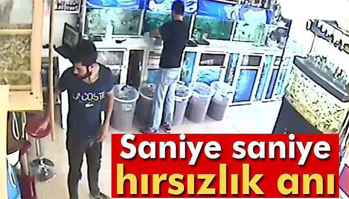 Petshoptan hırsızlık güvenlik kamerasında