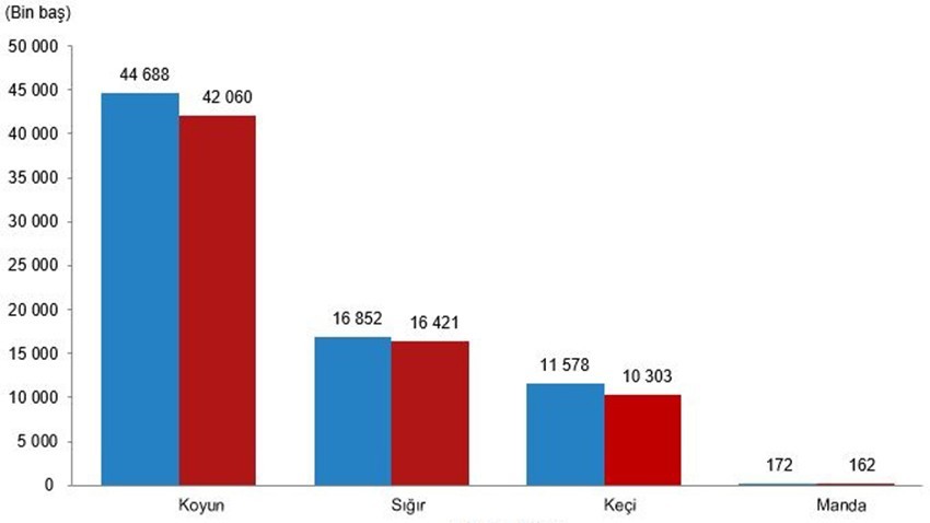 Büyükbaş hayvan sayısı 16 milyon 583 bin baş oldu