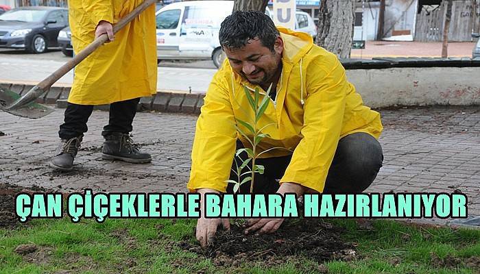 Çan Çiçeklerle Bahara Hazırlanıyor