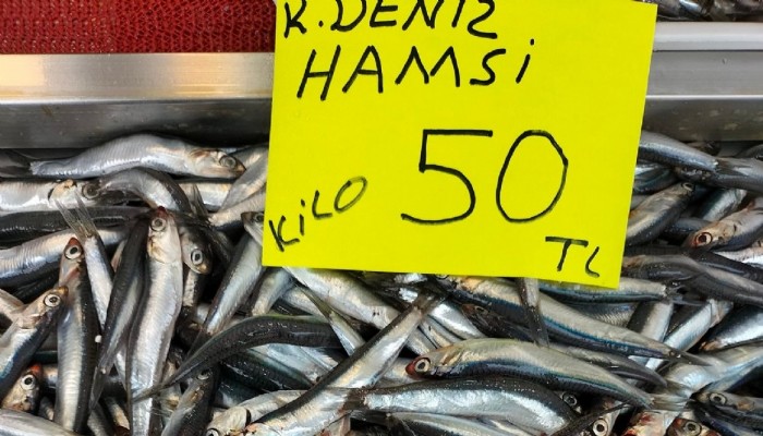 Hamsi’nin Kilosu 50 TL’ye Ulaştı