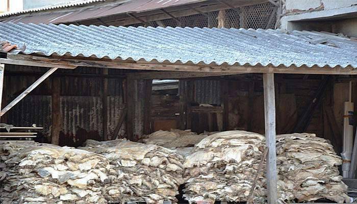  THK Biga'da 6 bin kurban derisi topladı