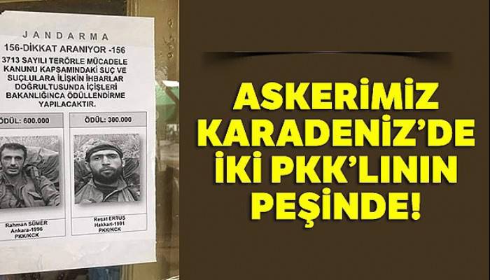 Asker Doğu Karadeniz'de iki PKK'lının peşinde