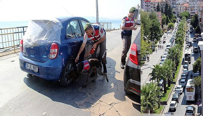 Trafik Canavarına da ‘Geçilmez’ Olduk