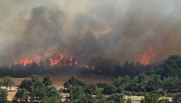 Çanakkale'de orman yangını