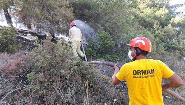 5 ayrı noktadan çıkan Çanakkale yangını kontrol altına alınmaya çalışılıyor