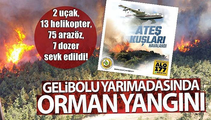 Gelibolu yarımadasındaki orman yangınına Orman Bölge Müdürlüğü'nden müdahale!