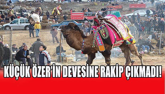 Küçük Özer'in devesine rakip çıkmadı