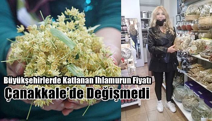 Büyükşehirlerde Katlanan Ihlamurun Fiyatı Çanakkale’de Değişmedi