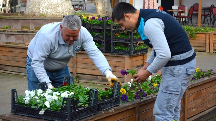 Kış çiçekleri dikildi