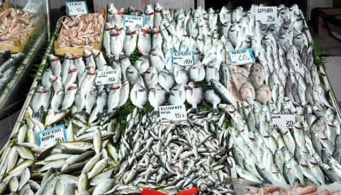 Çanakkale'de balık severlere iyi haber