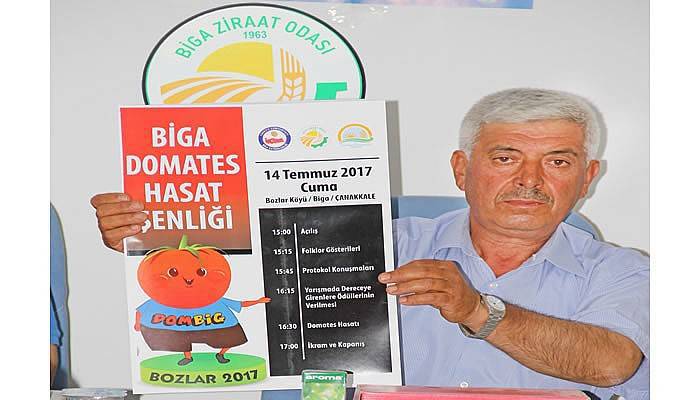 Biga’da 'Domates Hasat Şenliği' düzenlenecek