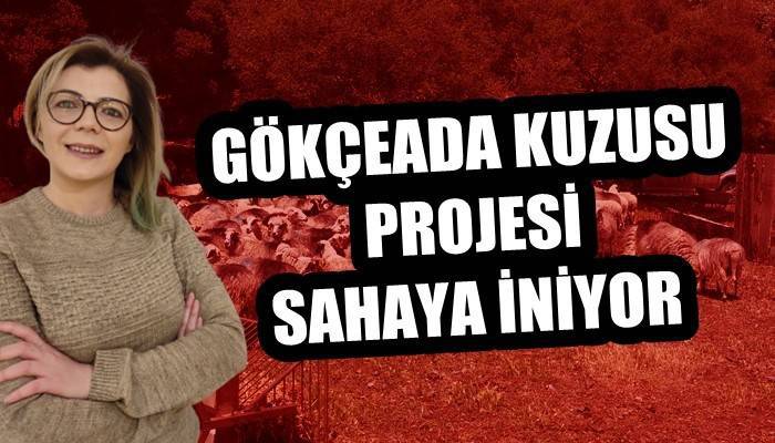 Koyun Keçi Dünyası, Gökçeada ile sahaya iniyor