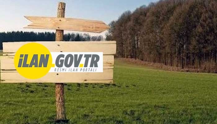 21 BİN 825 METREKARE TARIM ARAZİSİ MAHKEMEDEN SATILIK