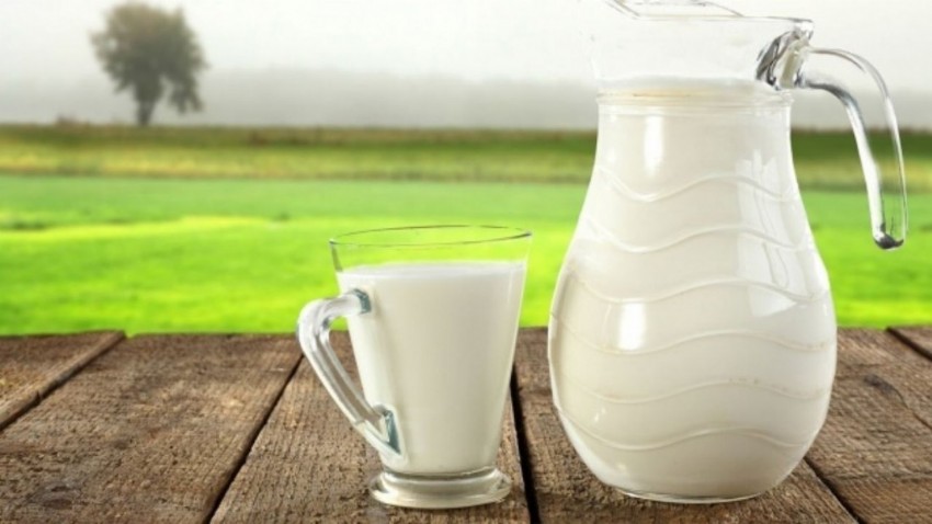 Daha kolay sindirilen keçi sütü, cilt yaralarını iyileştiriyor