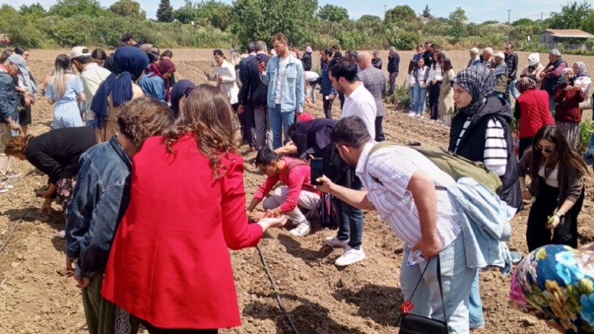 Proje İle Kadın Çiftçiler İhracata Yöneldi