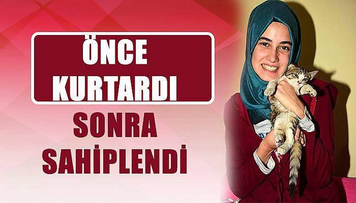 Mahsur kalan kediyi önce kurtardı, sonra sahiplendi