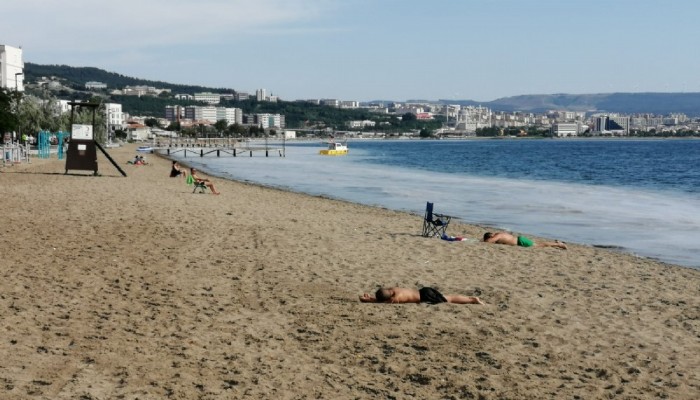 Yeni Kordon kıyılarında müsilaj tehditi