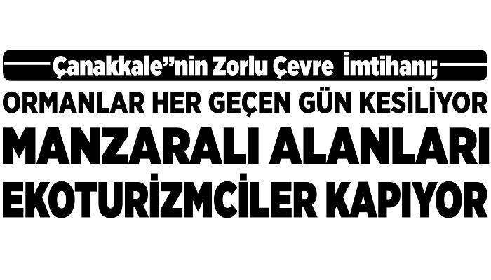 Çanakkale'nin Zorlu Çevre İmtihanı: ORMANLAR HER GEÇEN GÜN KESİLİYOR