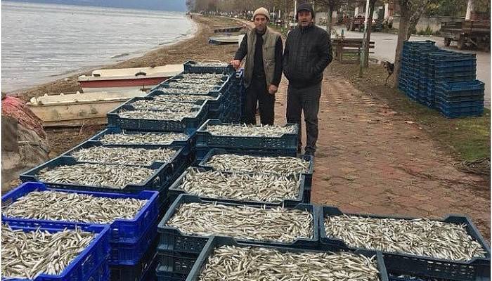 Gümüş balıkları Çanakkale’ye gidiyor