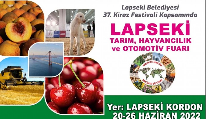   Lapseki Kiraz Festivali Geri Sayımı Başladı  