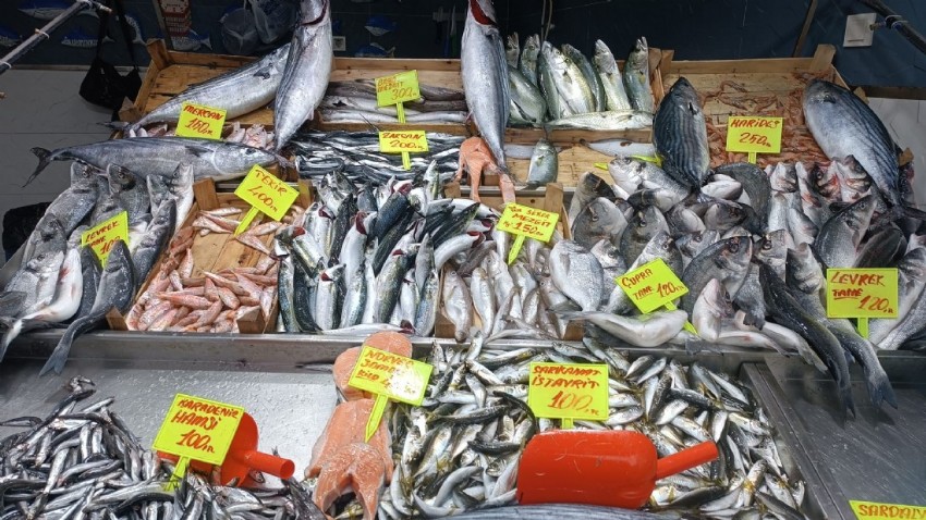 Biga’da Cumartesi balık fiyatları