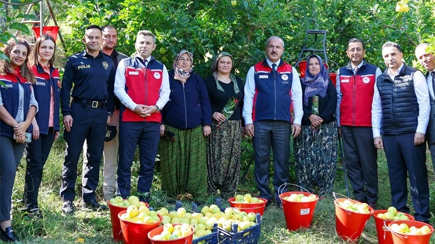Vali Ömer Toraman, Bayramiç’te Elma Hasadına Katıldı  