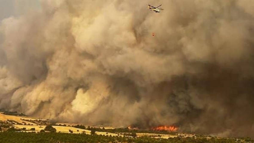 Çanakkale'de Orman Yangını Felaketi Sonrası Dayanışma Kampanyası Başlatıldı