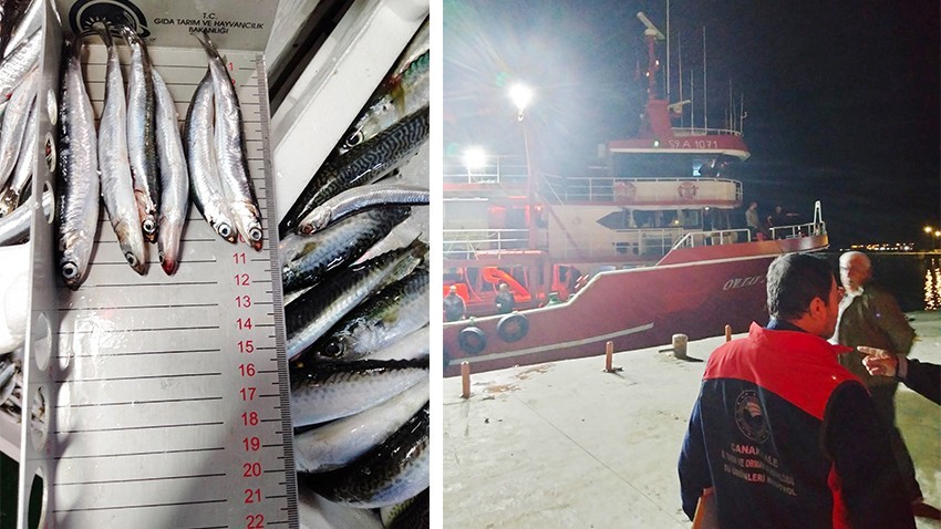 Biga’da Hamsi Denetimleri Sürdürülebilir Balıkçılık İçin Aralıksız Devam Ediyor