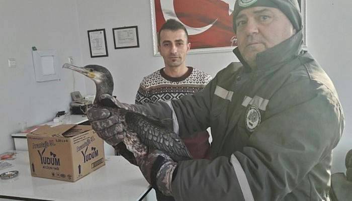 Avcılar vurdu, itfaiye kurtardı