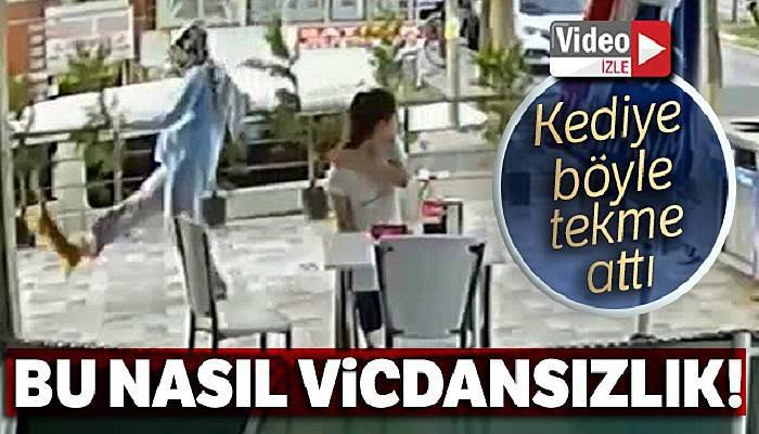 Kediye tekme atan kadın güvenlik kamerasına yakalandı