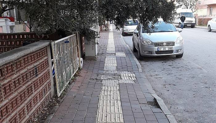 Budanmayan ağaç dalları görme engellileri zorluyor