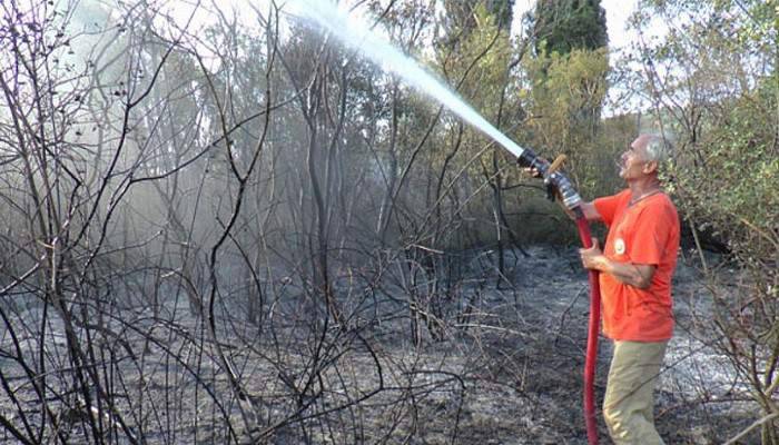 Piknikçiler ormanı yakınca malzemeleri bırakıp kaçtılar