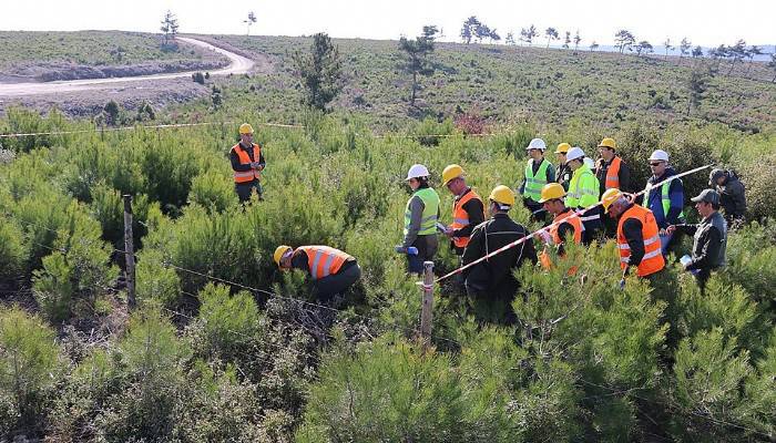 Çanakkale ormanlarında 12 Yılda %28’lik servet artışı