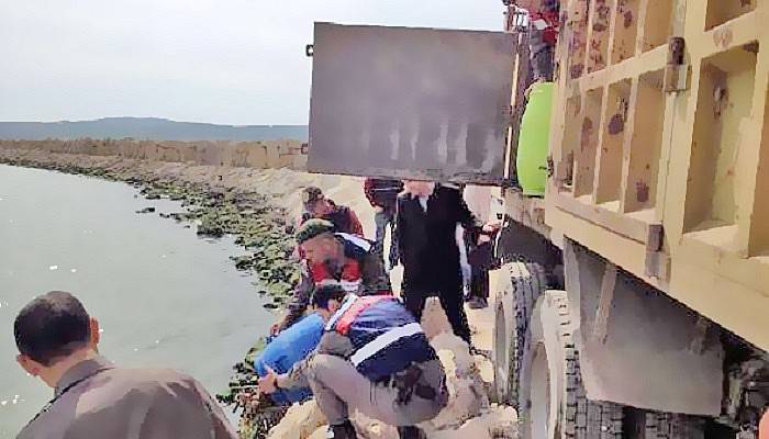 Gelibolu'da 2.5 Ton Kaçak Deniz Patlıcanı Ele Geçirildi