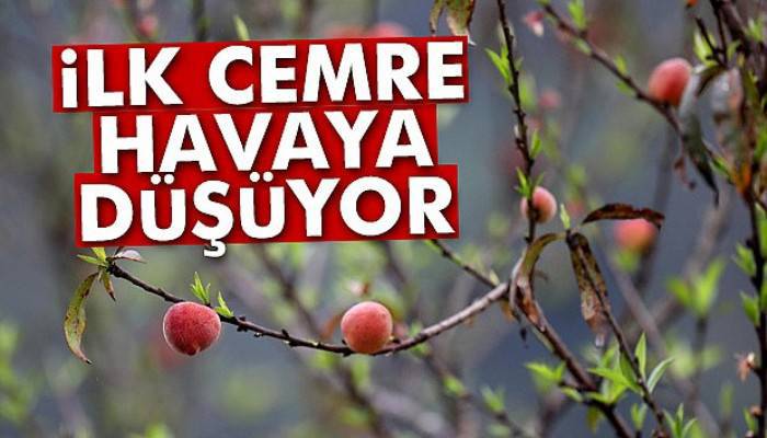 İlk cemre havaya düşüyor! Cemre nedir?