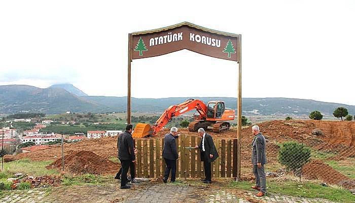 170 adet zeytin ağacı fidanı dikilecek