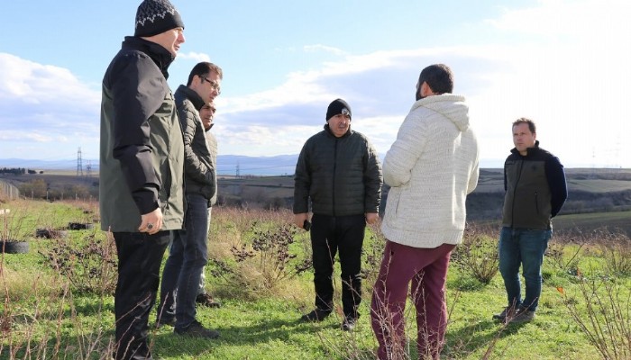 Bolayırda Aronya Meyvesi Yetiştirmek İçin İncelemeler Yapıldı