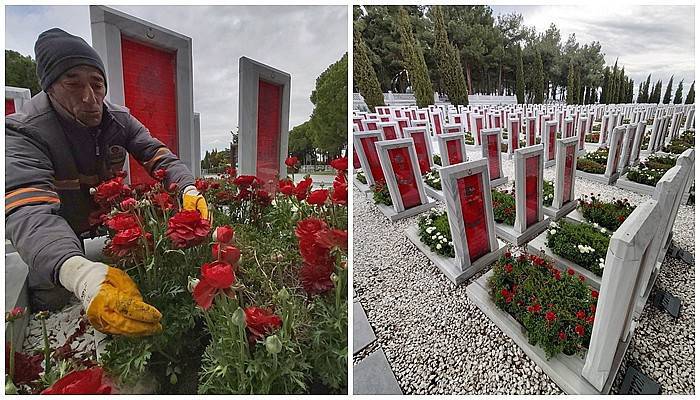 Şehit mezarlarına kırmızı-beyaz 11 bin şakayık dikildi (VİDEO)