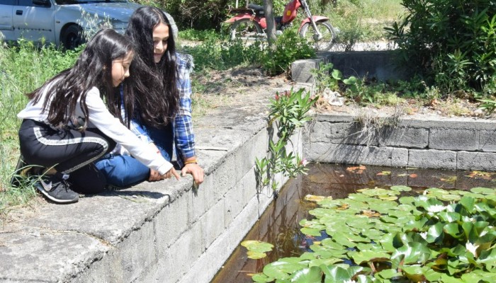 İki kız kardeş nilüfer çiçeklerine özenle bakıyor