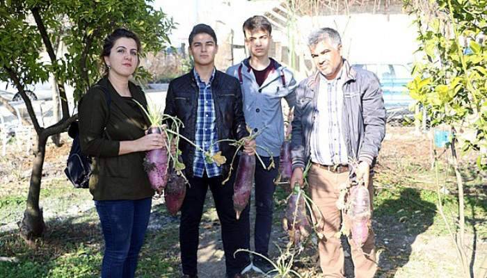  6 kiloluk yeni turp çeşidi