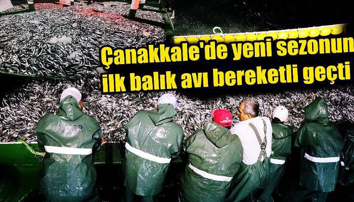 Çanakkale'de, yeni sezonun ilk gecesi 25 ton sardalya avlandı (VİDEO)