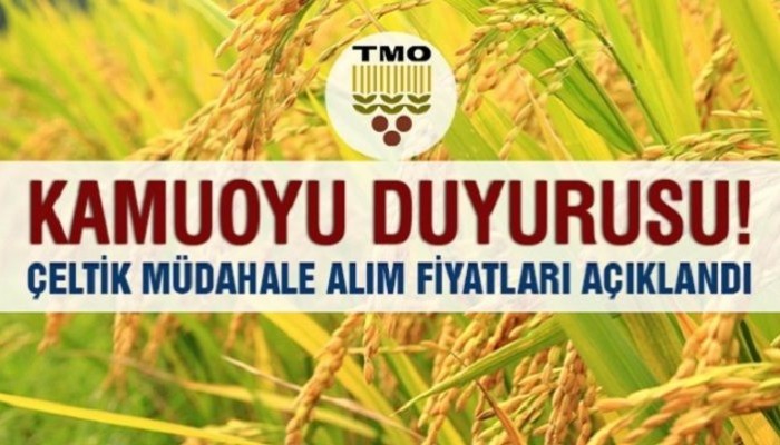 ÇELTİK ALIM FİYATLARI AÇIKLANDI